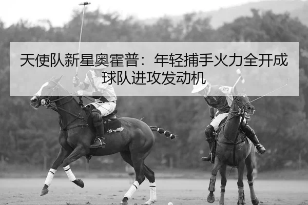 天使队新星奥霍普：年轻捕手火力全开成球队进攻发动机